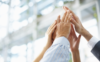 New CSR portal of Mitsubishi Electric in Europe