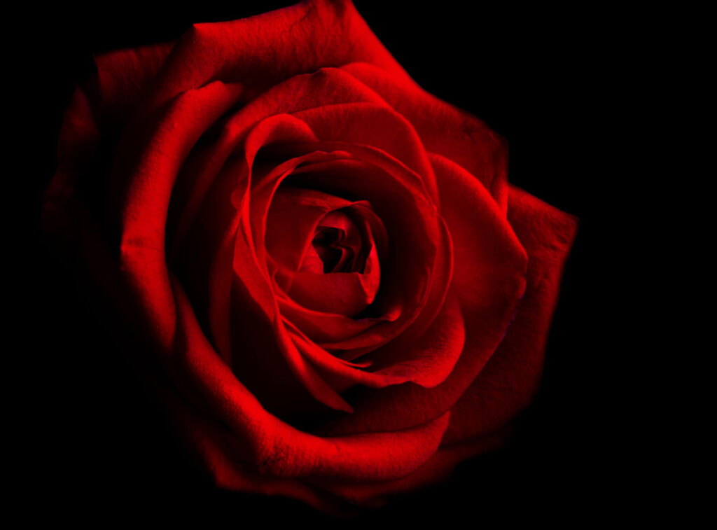 Click for MEHITS '23 - 17