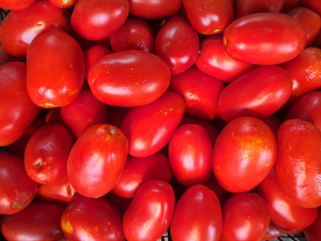 Click for MEHITS '23 - 11