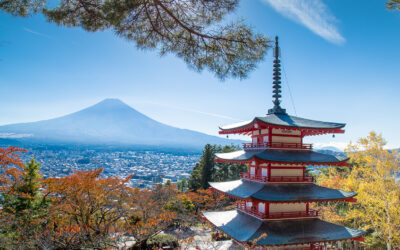 The New Column on Japanese Culture