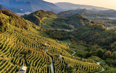 Trekking Sunday April 7, invite a friend!