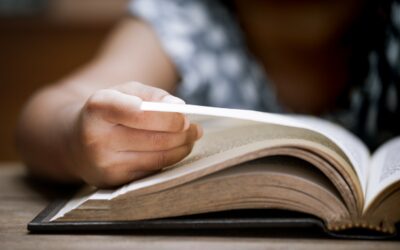 Margherita Novello Study Award