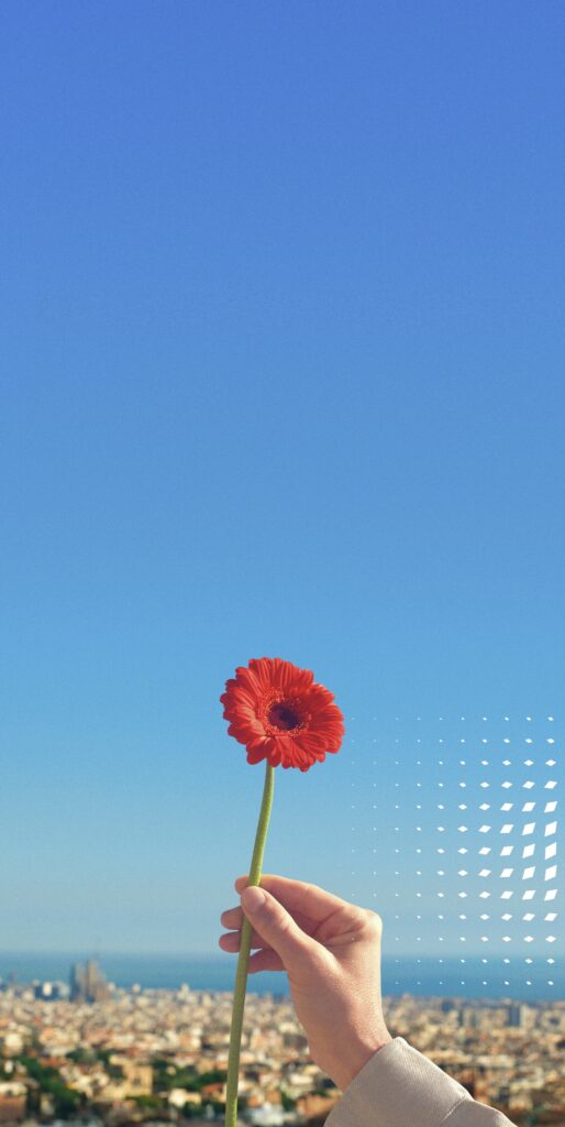 Wallpapers SP3 1440
